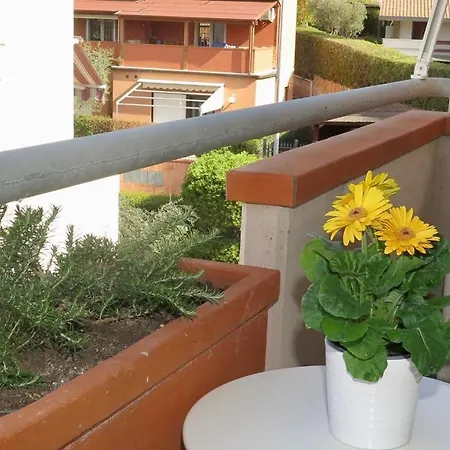 Apart Otel Residenza Turistico Alberghiera Corallo 2*